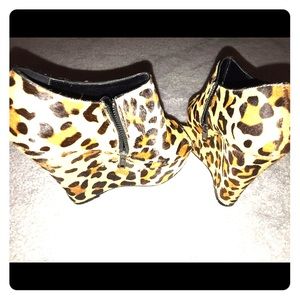 Steve Maddens “WICKED”